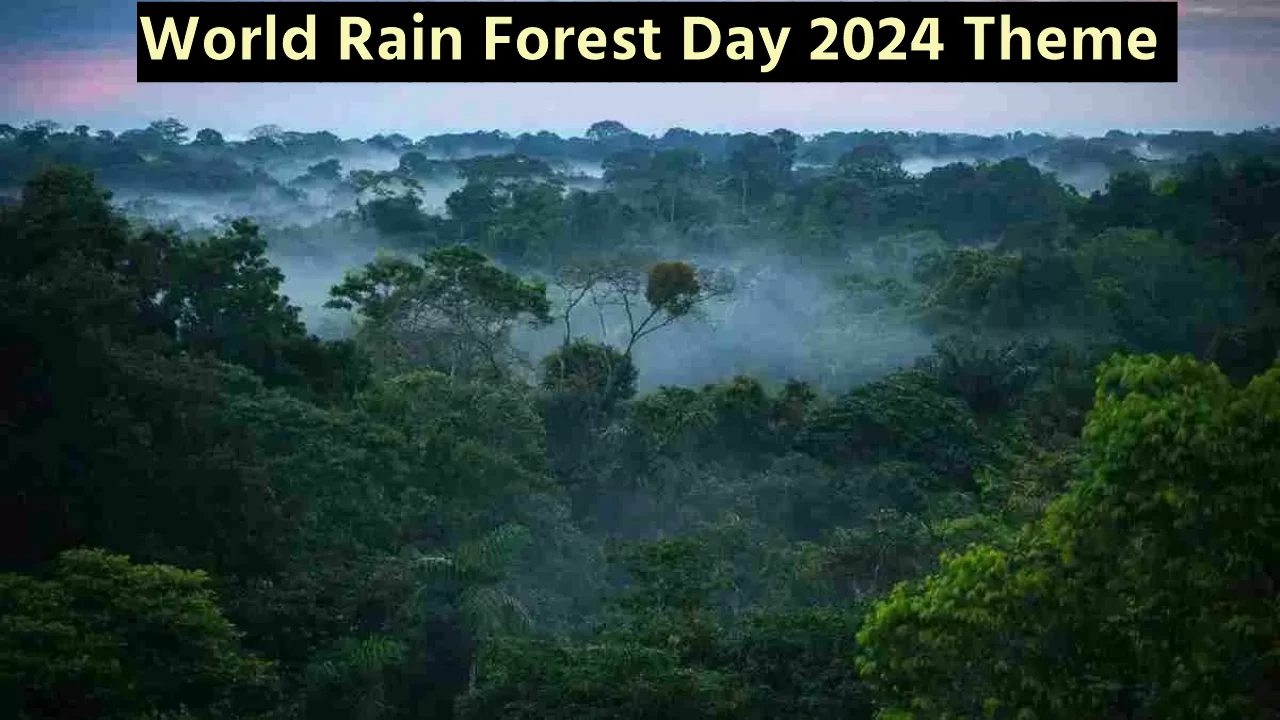 World Rain Forest Day 2024 Theme