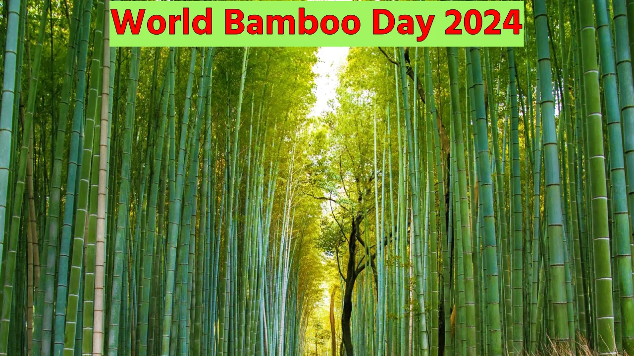 World Bamboo Day 2024