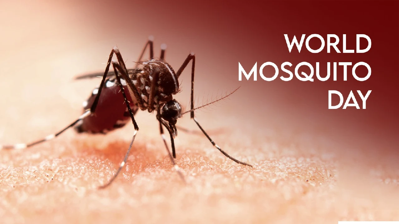 World Mosquito Day 2024